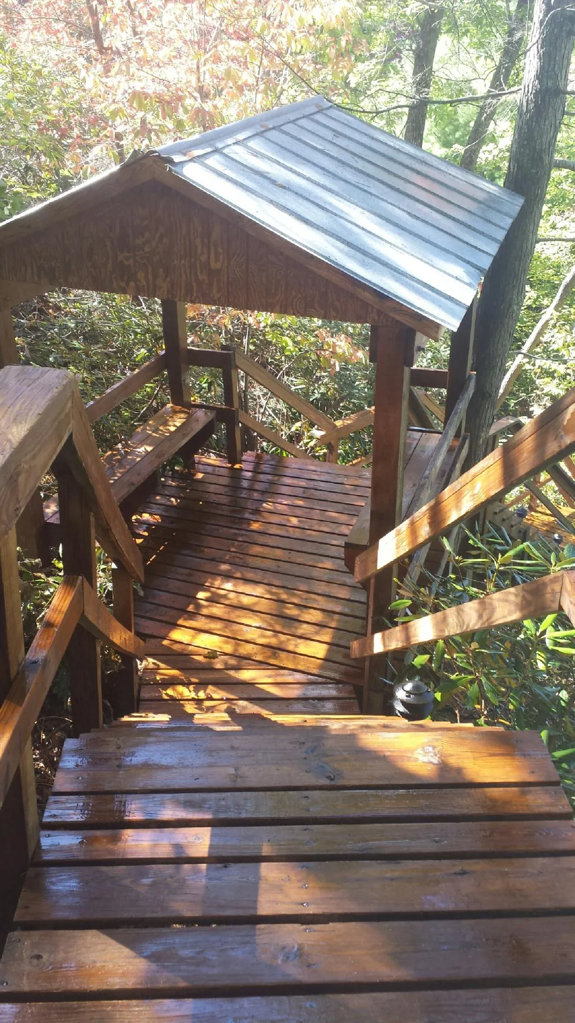 Freshly stained wood walkway and covered shelter with a metal roof in Allons